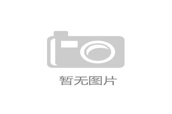 世界杯伊朗对阵新西兰焦点战